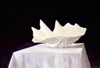 Giant Clam