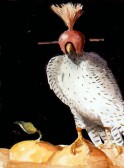 Horus