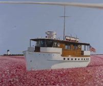 The American Envoy Arriving Through The Sea of Flowers