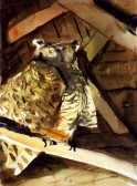 Study for ‘Star Witness’